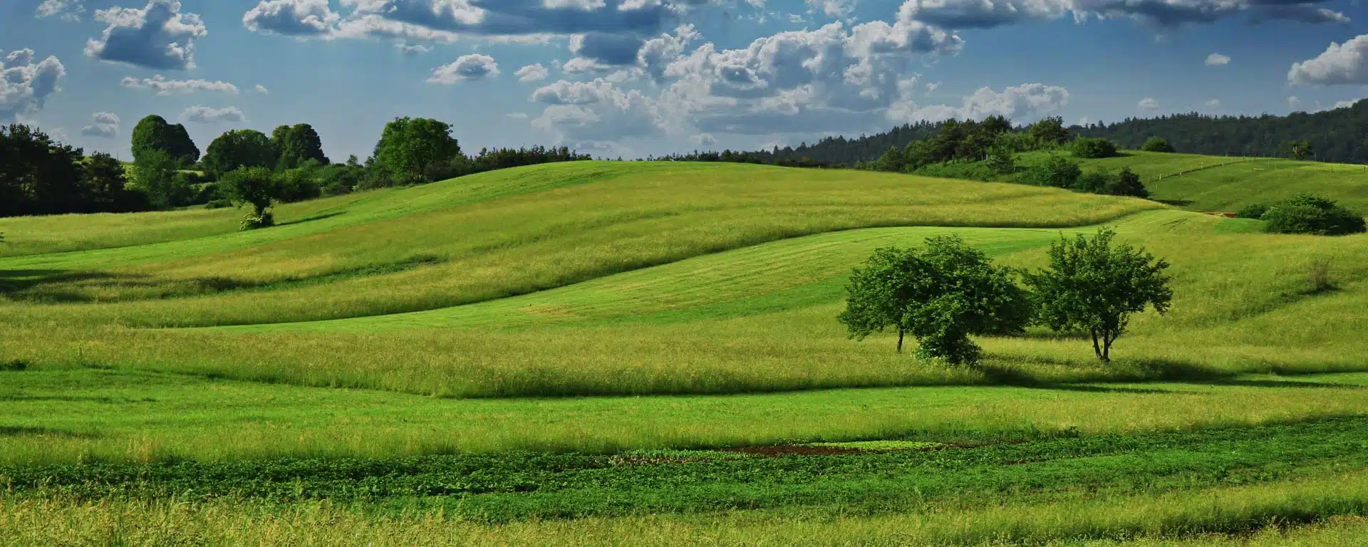 Les apports de Timac Agro pour une agriculture durable